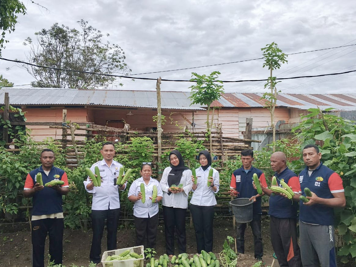 Sukses Tengah Pekan, Lapas Wahai Panen 100 Buah Mentimun dan Pare