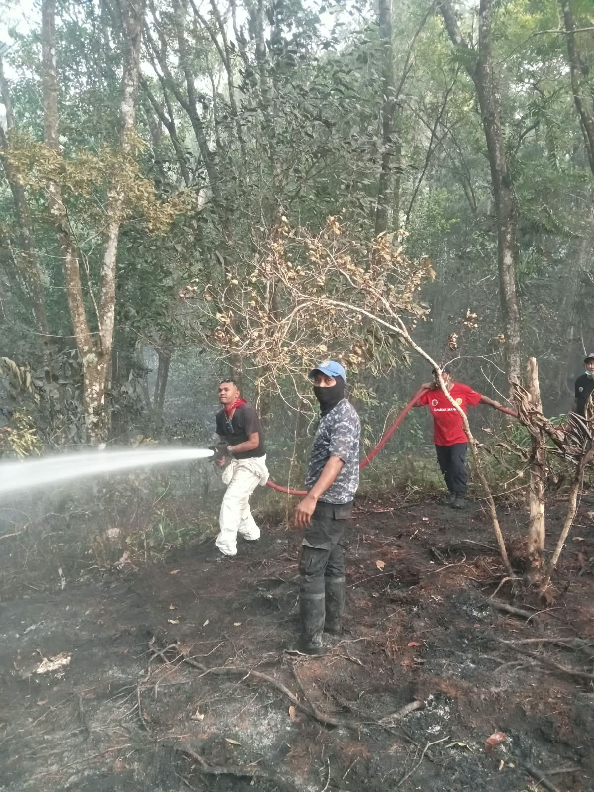 Damkar Ambon Kerahkan 41 Personel Padamkan Kebakaran Hutan di Gunung Nona