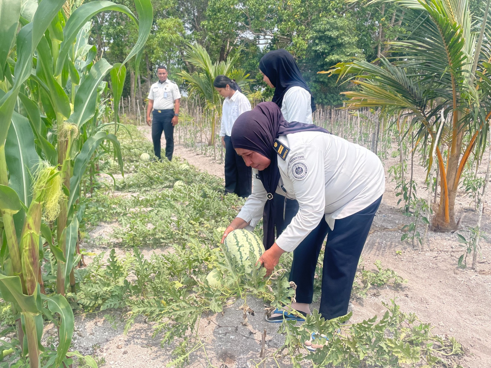 Lapas Namlea Pasok 300 Kg Semangka untuk Dukung Program Makan Bergizi Gratis
