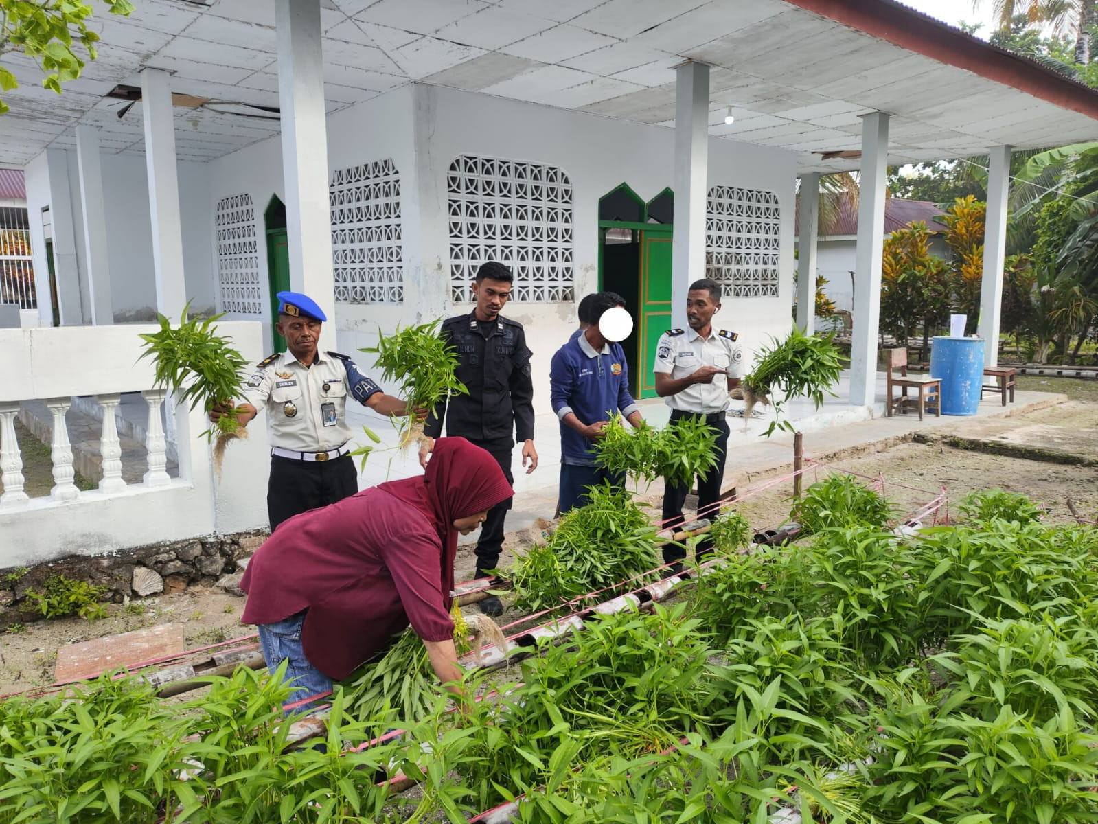 Kangkung Hidroponik Lapas Geser Laris Manis, Warga Borong 100 Ikat