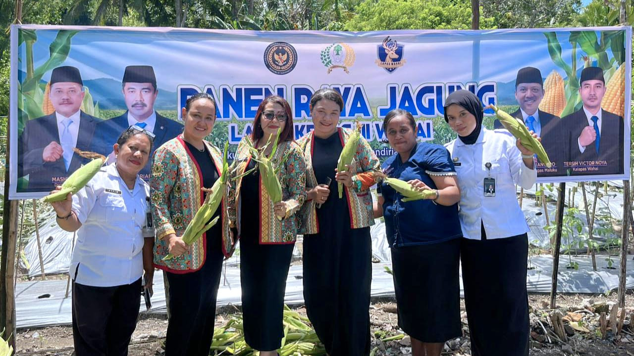 Bukti Sukses Ketahanan Pangan, Panen Raya Jagung di Lapas Wahai Capai 1,2 Ton