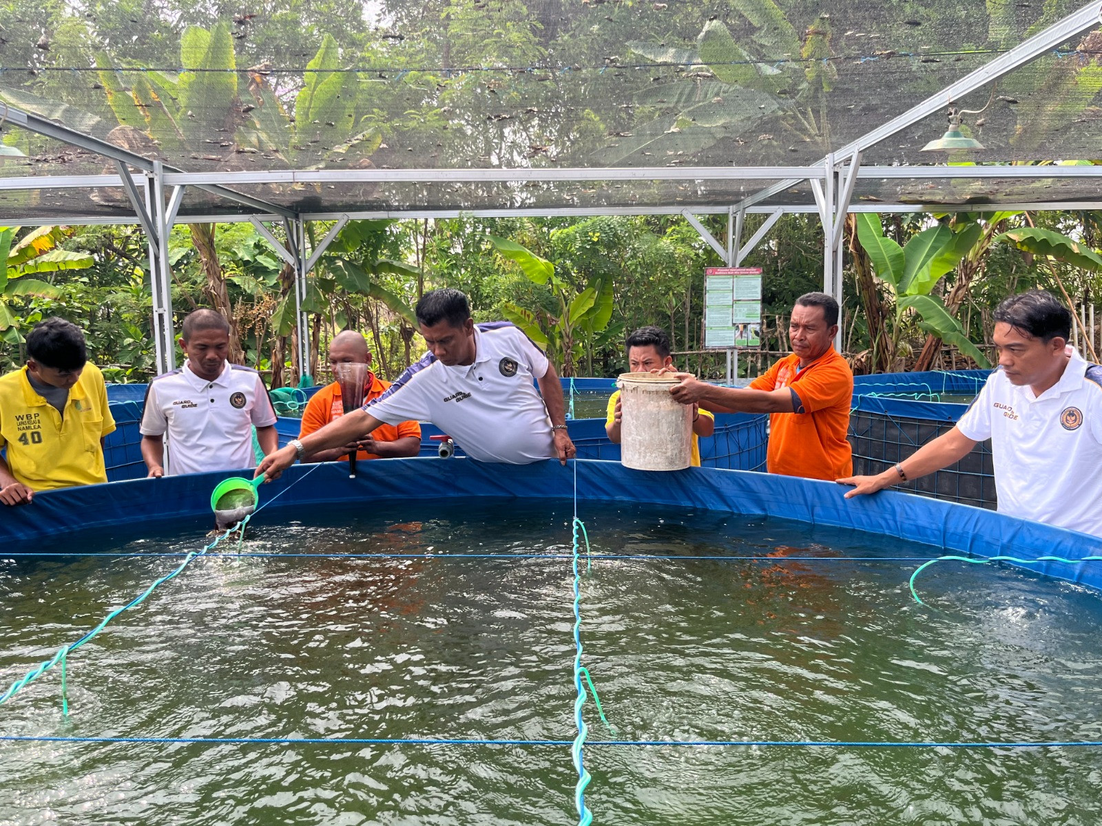 Lapas Namlea Budidayakan Ikan Nila,Dukung Program Pembinaan Kemandirian Unggulan Bagi Warga Binaan