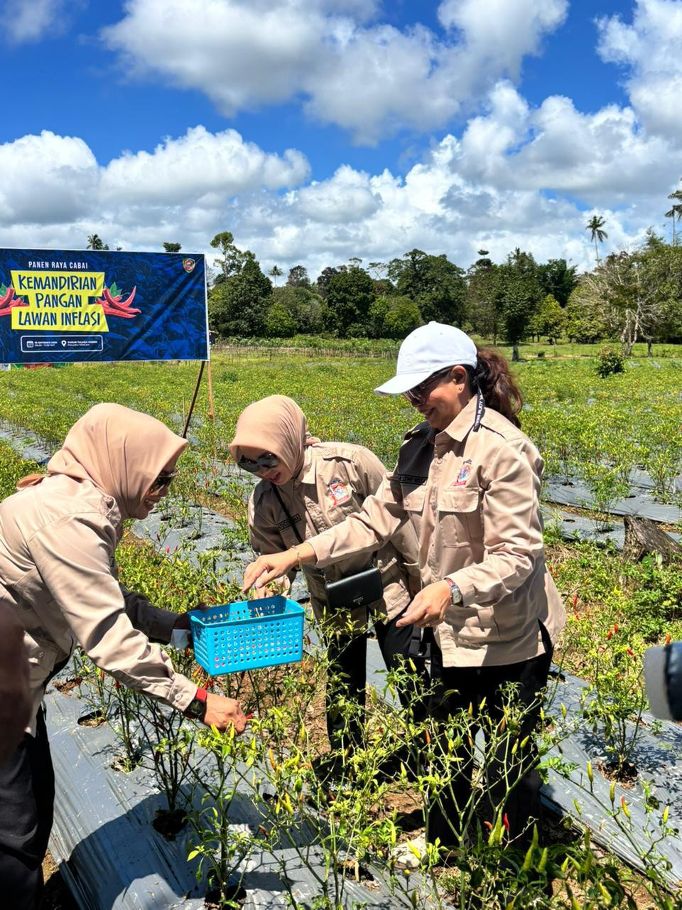 Panen Raya Cabai Youth Creative Hub, Langkah Awal Lawan Inflasi