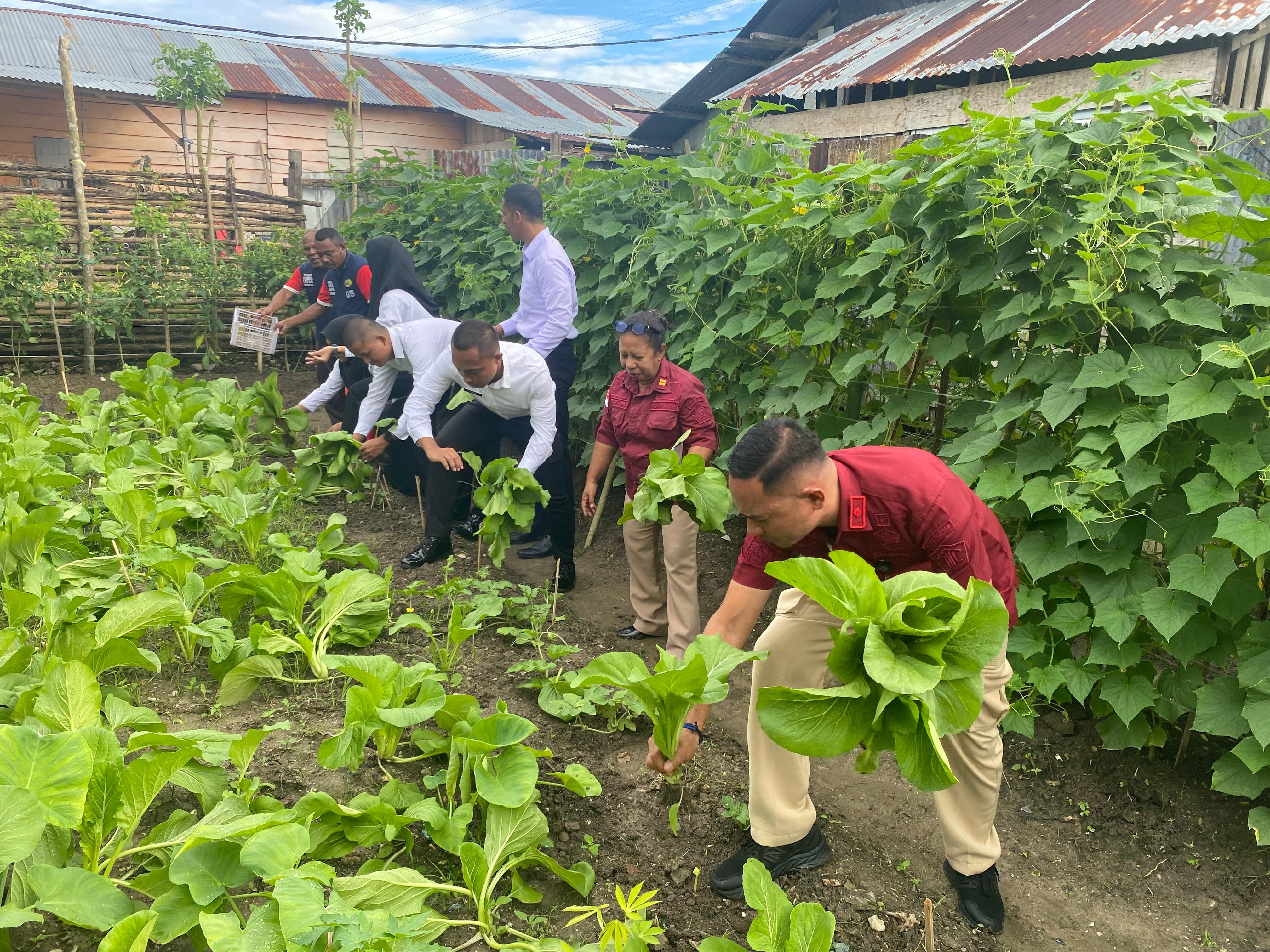 CPNS Lapas Wahai Ramai-ramai Giat Panen Dukung Ketahanan Pangan