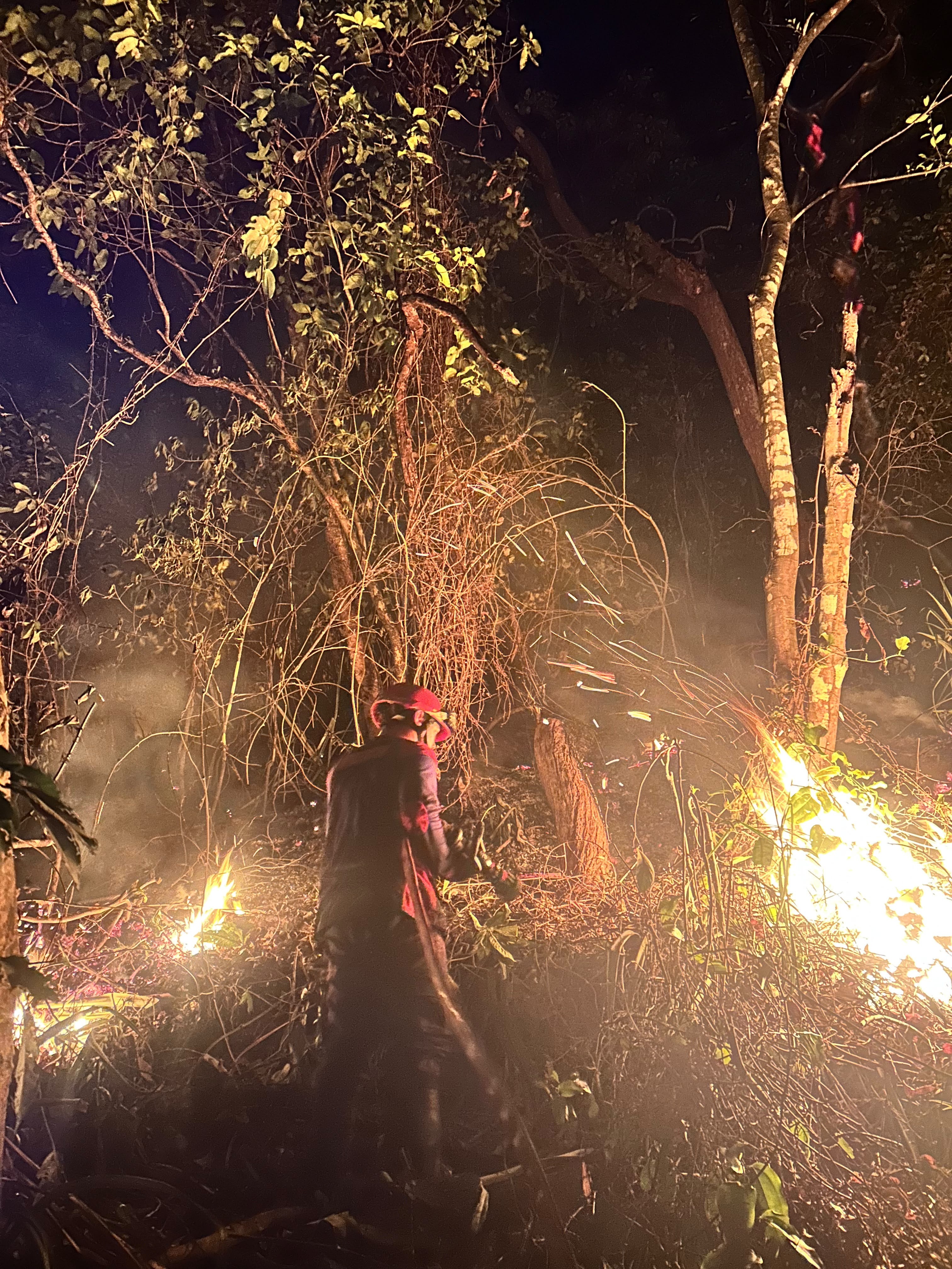Warga Laporkan Kebakaran Gunung Nona, Damkar Ambon Tiba dalam 10 Menit