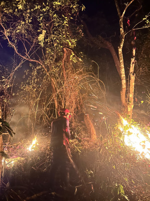 Warga Laporkan Kebakaran Gunung Nona, Damkar Ambon Tiba dalam 10 Menit